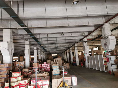 深圳市工廠樓板承重檢測與規(guī)范報告技術(shù)服務